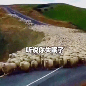 示例图片